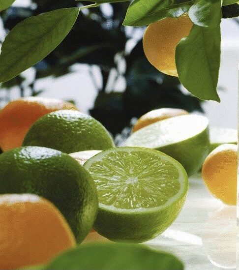 JM “Lime, Basil & Mandarin” aromātiskā eļļa