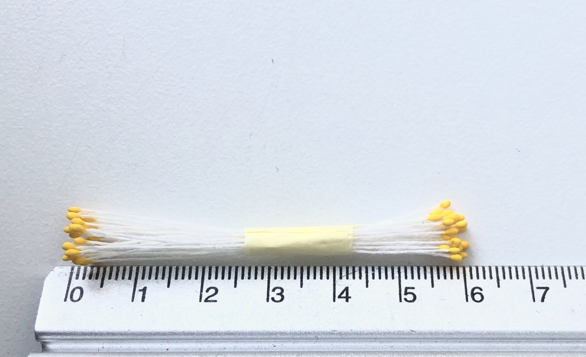 Putekšņlapas (sīkās) - dzeltenas 1 mm
