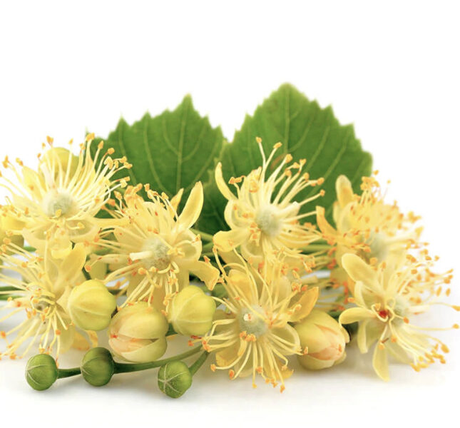 Aromātiskā eļļa “Liepzieds”